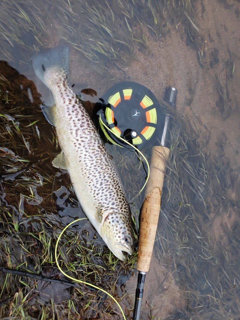 The Wet Fly & Egg  Eastern CT Fly Fishing, LLC