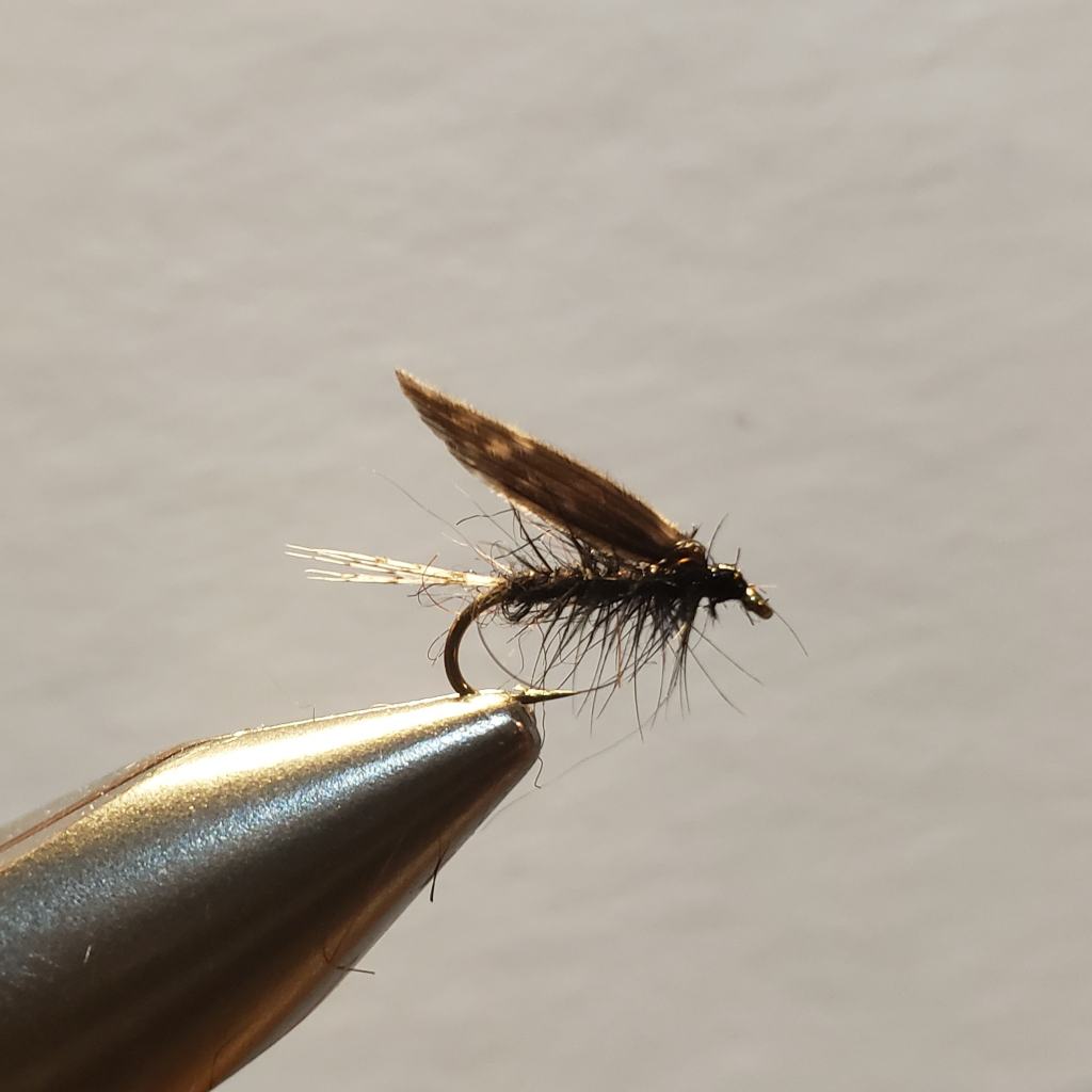 Tying the Winter & Early Brown Stone